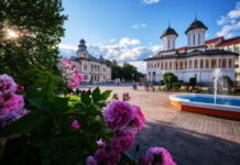 Ce reprezintă Târgu-Jiu pentru noi? Orașul natal? Orașul reîntoarcerii către origine și copilărie? Sau locul pe care, în ultimul timp cu disperare sau din nevoie, parcă încerci a-l părăsi?