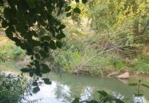 Tragedie! Trei persoane înecate în râul Motru