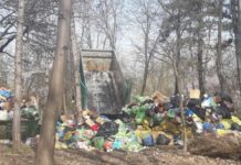 Edilul din Turburea nu îl va sancționa pe șoferul care a aruncat gunoiul la Târgu Jiu