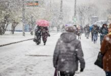 Ninsori şi intensificări ale vântului în 13 județe din țară