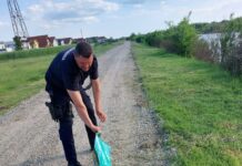 Şerpi de peste 1,5 metri în Târgu Jiu și Motru. Oamenii au sunat la 112