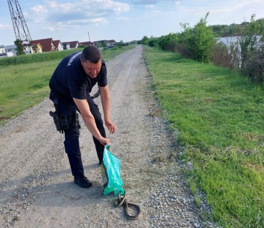 Şerpi de peste 1,5 metri în Târgu Jiu și Motru. Oamenii au sunat la 112