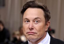 Informații MAI – Elon Musk și Angelina Jolie nu au luat parte la petrecerea de la Castelul Bran